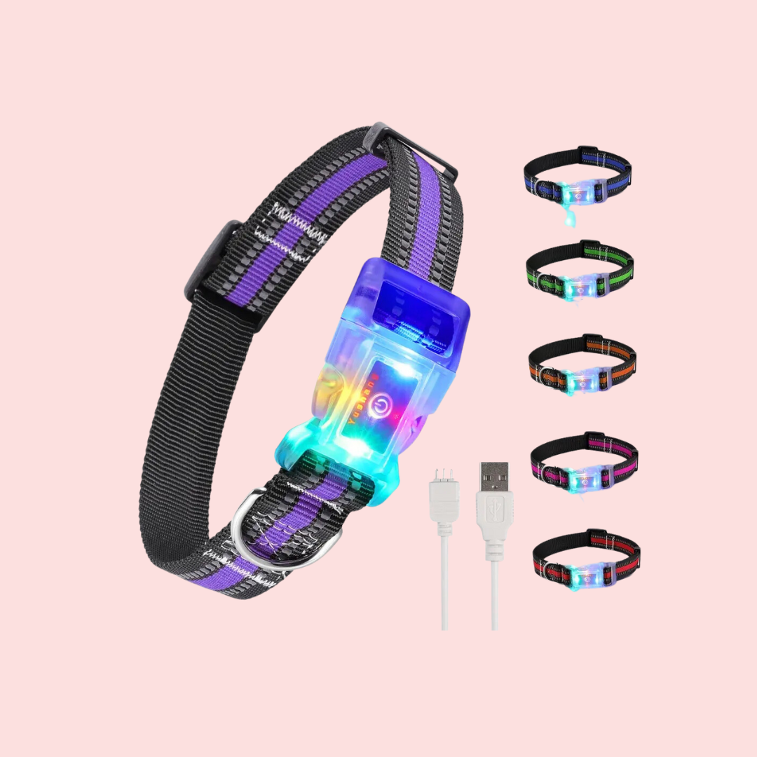 Waterproof LED Collar