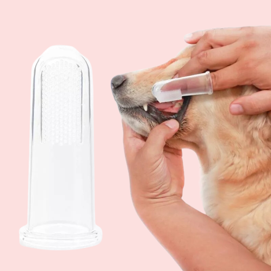 Pet Tooth Brush