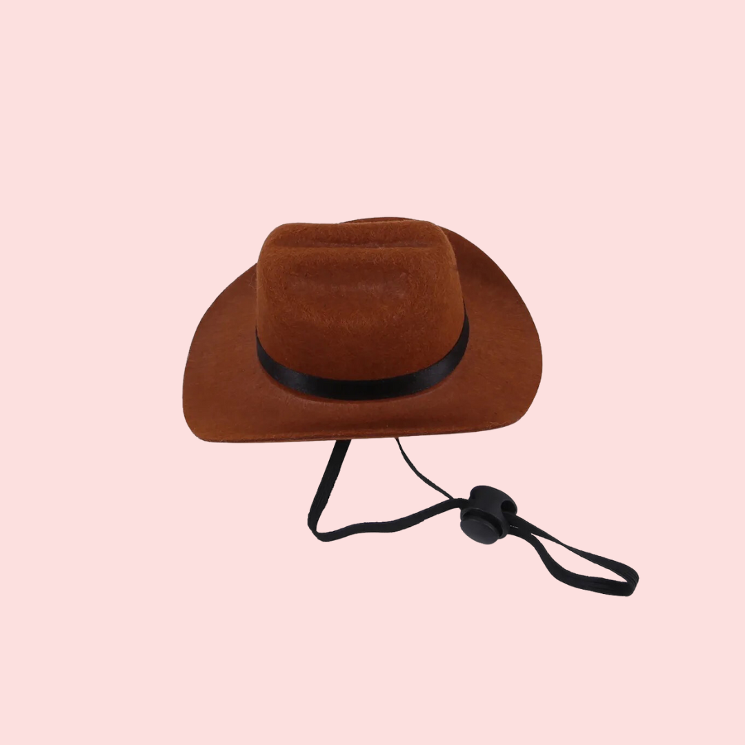 Pet Cowboy Hat