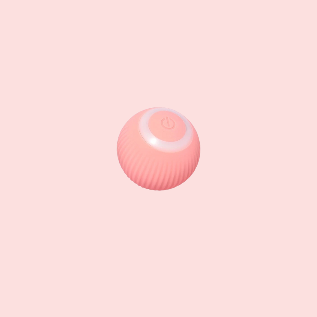 Electric Pet Ball Pink