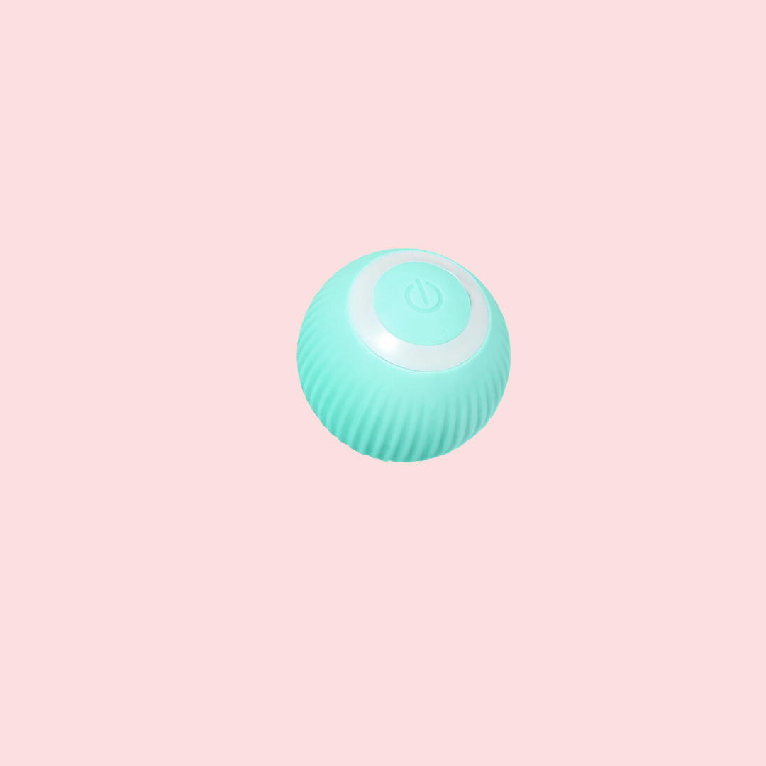 Electric Pet Ball Blue